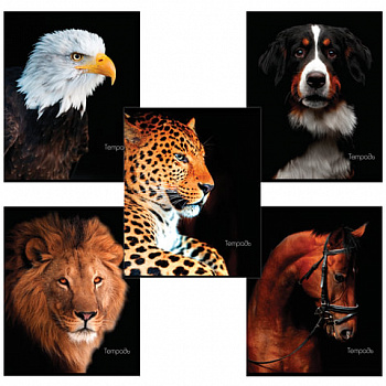 Тетрадь А5, 48 л., BRAUBERG скоба, клетка, обложка картон, ЖИВОТНЫЕ