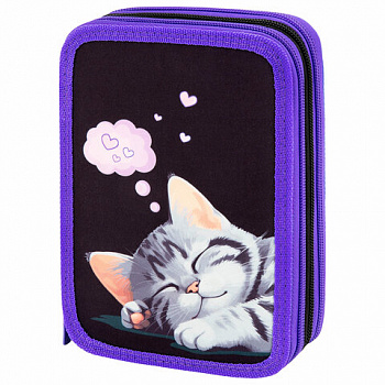 Пенал BRAUBERG, 3 отделения, полиэстер, 21х14 см, "Sleeping kitten"