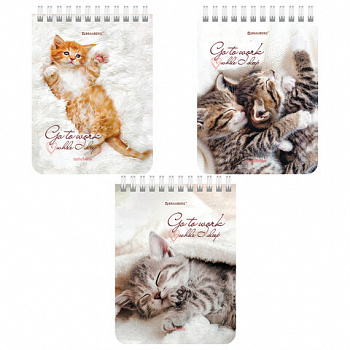 Блокнот МАЛЫЙ ФОРМАТ А6 108х145 мм, 40 л., гребень, картон, клетка, BRAUBERG, "Милые котята"