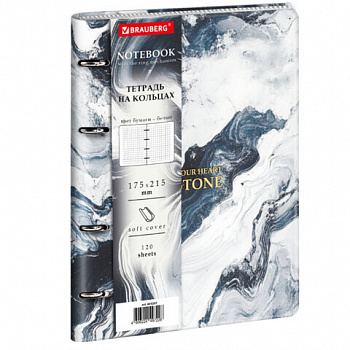 Тетрадь на кольцах А5 180х220, 120л, под кожу, BRAUBERG VISTA, Пернатые