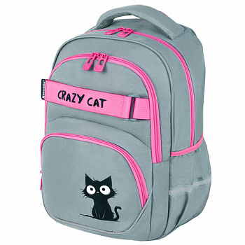 Рюкзак BRAUBERG MOTION, 2 отделения, 3 кармана, "Crazy cat", 41х28х17 см