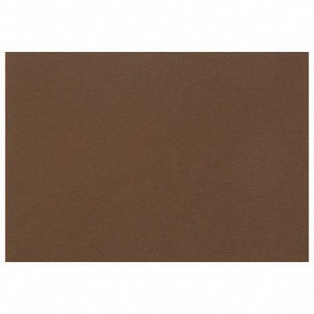 Бумага для пастели (1 лист) FABRIANO Tiziano А2+ (500х650 мм), 160 г/м2, кофейный