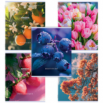 Тетрадь А5, 48 л., STAFF, скоба, клетка, офсет №2 ЭКОНОМ, обложка картон, ФЛОРА