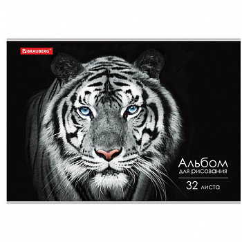 Альбом для рисования А4, 32 л., скоба, обложка картон, BRAUBERG, 202х285 мм, "Тигр" (1 вид)