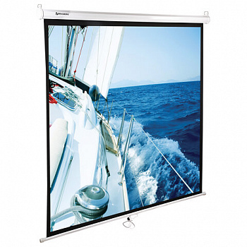 Экран проекционный настенный (200х200 см), матовый, 1:1, BRAUBERG "WALL"