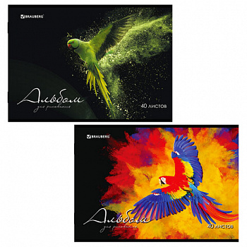 Альбом для рисования А4, 40 л., скоба, обложка картон, BRAUBERG, 205х290 мм, "Полёт" (2 вида)