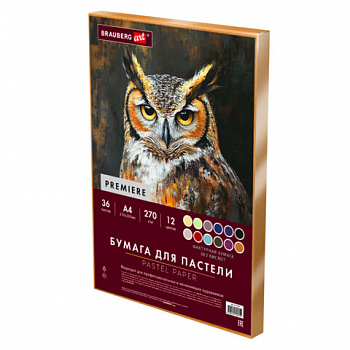 Бумага для пастели ФАКТУРНАЯ А4 в коробке, 36 листов 12 цветов, 270 г/м2, BRAUBERG AR