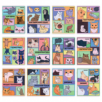 Тетради предметные, КОМПЛЕКТ 12 ПРЕДМЕТОВ, 48л, TWIN лак, FUNSTER, МЕМНЫЕ КОТЫ