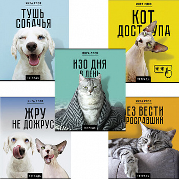 Тетрадь А5 48 л., ПЗБМ, скоба, клетка, конгрев, TWIN-лак, "Икра слов", (5 видов)