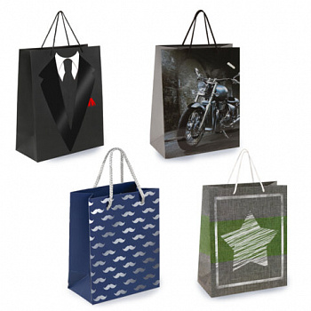 Пакет подарочный (1 штука) 26х13х32см (L) "Man Style", ассорти, фольга, выборочный лак, ЗОЛОТАЯ СКАЗКА