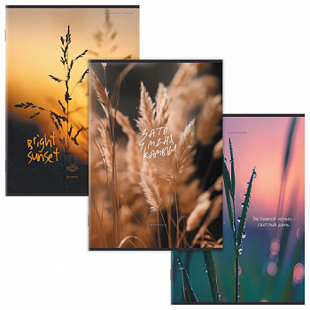 Тетрадь А4 80 л. STAFF College скоба, клетка, офсет №2 ЭКОНОМ, обложка картон, ПРИРОДА