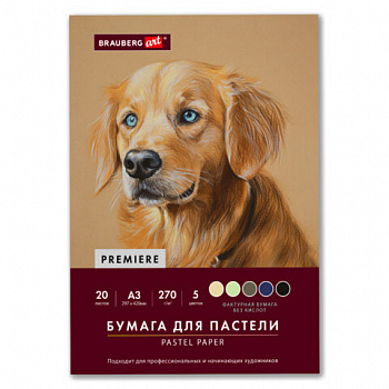 Бумага для пастели ФАКТУРНАЯ А3 в папке, 20 листов 5 цветов, 270 г/м2, BRAUBERG ART,