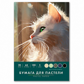 Бумага для пастели БОЛЬШАЯ А3 в папке, 20 листов 5 цветов, 180 гр/м2, BRAUBERG ART CLASSIC