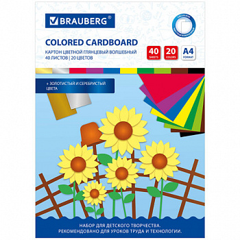 Картон цветной А4 МЕЛОВАННЫЙ ВОЛШЕБНЫЙ, 40 листов, 20 цветов, в папке, BRAUBERG, 200х290 мм