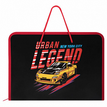 Папка для труда на молнии с ручками ПИФАГОР А4, 1 отделение, пластик, органайзер, "Street Legend"