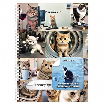 Стикербук ПРОСТО НАКЛЕЙ А6 16 листов 96 цветных стикеров, на гребне, BRAUBERG, Коты мемы