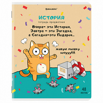 Тетрадь предметная "КОТ-ЭНТУЗИАСТ" 48 л., TWIN-лак, ИСТОРИЯ, клетка, подсказ, BRAUBERG