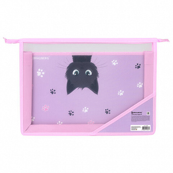 Папка для труда BRAUBERG А4, 2 отделения, пластик, молния сверху, органайзер, "Hide and seek"