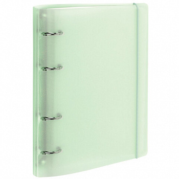Тетрадь на кольцах А5 175х220 мм, 120 л., пластик с блестками, с резинкой и разделителями, BRAUBERG, Зеленый