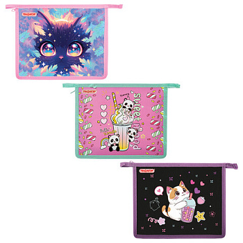 Папка для тетрадей ПИФАГОР А5, 1 отделение, пластик, на молнии, АССОРТИ для девочек