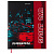 Дневник 1-11 класс 48 л., твердый, BRAUBERG, матовая ламинация, магнитный клапан, закладка-ляссе, с подсказом, "Авто"