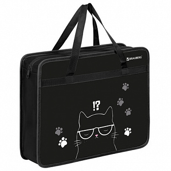 Папка на молнии с ручками BRAUBERG А4, 1 отделение, пластик, 80 мм, "Tough cat"