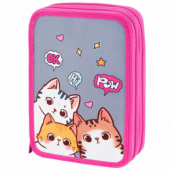 Пенал BRAUBERG, 2 отделения, полиэстер, 21х14 см, "Hi there"