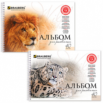 Альбом для рисования, А4, 40 листов, гребень, обложка картон, BRAUBERG, 205х290 мм, "Благородные кошки" (2 вида)