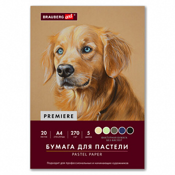 Бумага для пастели ФАКТУРНАЯ А4 в папке, 20 листов 5 цветов, 270 г/м2, BRAUBERG ART,