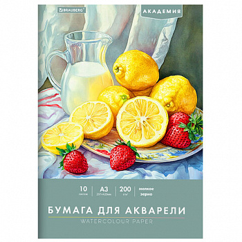 Папка для акварели БОЛЬШАЯ А3, 10 л., 200 г/м2, 297х420 мм, BRAUBERG АКАДЕМИЯ, "Летний натюрморт"
