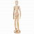 Манекен человека художественный BRAUBERG ART CLASSIC, женский, дерево, высота 30 см.