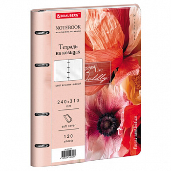 Тетрадь на кольцах БОЛЬШАЯ А4 240х310 120л, под кожу, BRAUBERG VISTA, Пейзаж