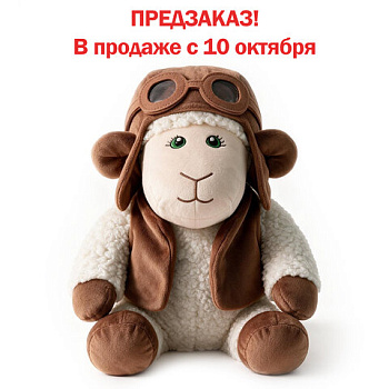 Подарок новогодний ЛЁТЧИК "Мягкая игрушка-символ 2027 года", НАБОР конфет 800 г, WELDAY (ВЭЛДЭЙ)