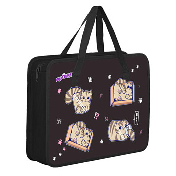 Папка на молнии с ручками ЮНЛАНДИЯ А4, 1 отделение, пластик, 80 мм, "Box cats"