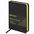 Ежедневник недатированный МАЛЫЙ ФОРМАТ А6, 100х150 мм, BRAUBERG "Iguana", кожзам, 160 л., черный