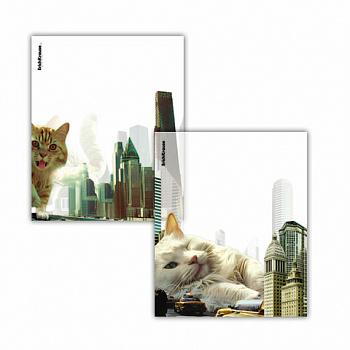 Обложки ПП для тетрадей и дневников ERICH KRAUSE "Big City Cats", КОМПЛЕКТ 12 шт., 80 мкм, 212х347 мм