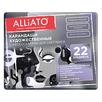 Карандаши художественные с аксессуарами для скетчинга, НАБОР 22 предмета, метал.кейс ALLIATO