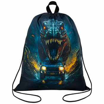 Мешок для обуви BRAUBERG KIDS, с петлей, 42х34 см, "Dino chase"