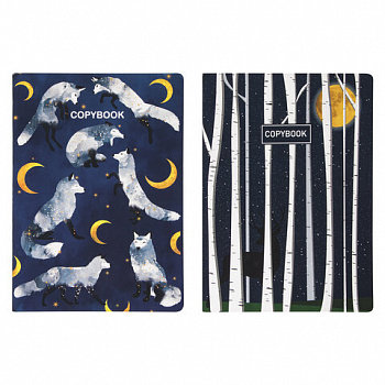 Тетради 60 л. в точку обложка SoftTouch, НАБОР 2 шт., бежевая бумага 70 г/м2, сшивка, B5 (179х250 мм), НОЧЬ, BRAUBERG