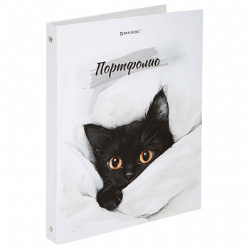 Папка-портфолио универсальная, 4 кольца, 20 файлов, 7БЦ матовая, BRAUBERG "Cat", 107557