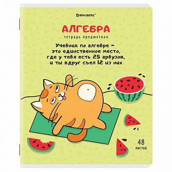 Тетрадь предметная "КОТ-ЭНТУЗИАСТ" 48 л., TWIN-лак, АЛГЕБРА, клетка, подсказ, BRAUBERG