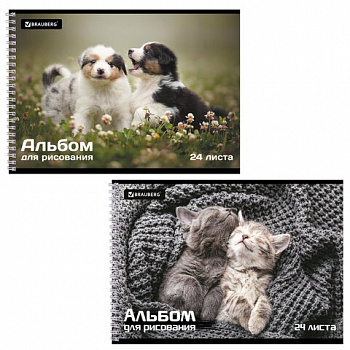 Альбом для рисования А4, 24 листа, гребень, обложка картон, BRAUBERG, 195х285 мм, "Питомцы" (2 вида)