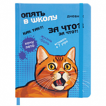 Дневник 1-11 класс 48 л., кожзам (твердая), печать, резинка, конверт, BRAUBERG, "Опять в школу"