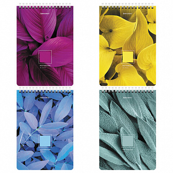 Блокнот А5 (146х206 мм), 80 л., гребень, картон, клетка, BRAUBERG, "Яркие листья"