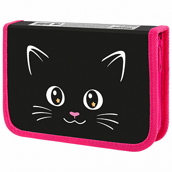 Пенал ПИФАГОР, 1 отделение, ламинированный картон, 19х11 см, "Dark kitten"