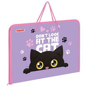 Папка для труда на молнии с ручками ПИФАГОР А4, 1 отделение, пластик, органайзер, "Observer cat"