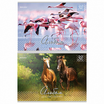 Альбом для рисования, А4, 32 листа, скоба, обложка картон, BRAUBERG, 200х283 мм, "Живая природа" (2 вида)