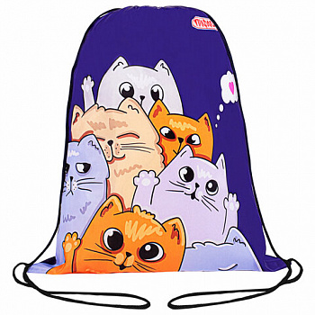Мешок для обуви ПИФАГОР, 1 отделение, 42х34 см, "Cats greetings"