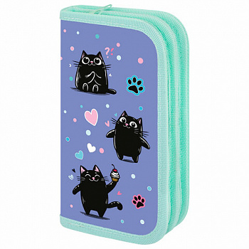 Пенал ПИФАГОР, 2 отделения, ламинированный картон, 19х11 см, "Funny cats"