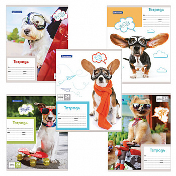 Тетрадь 24 л. BRAUBERG, клетка, обложка картон, MY BEST FRIEND